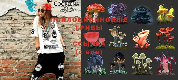 хмурый Богородск