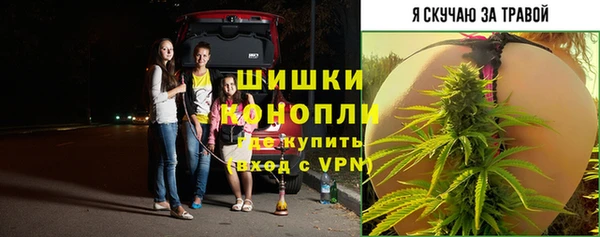2c-b Богородицк
