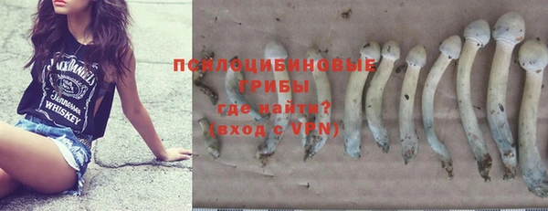 хмурый Богородск