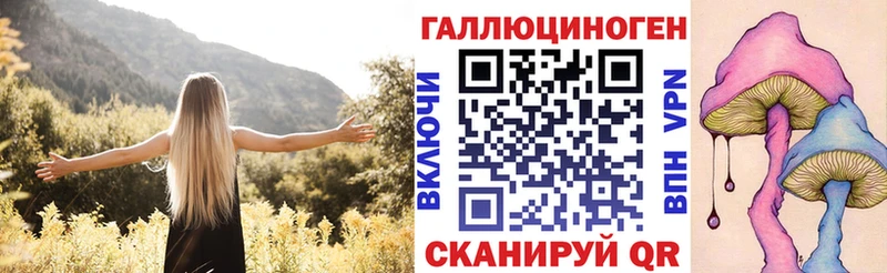 даркнет сайт  Горячий Ключ  Псилоцибиновые грибы мицелий 