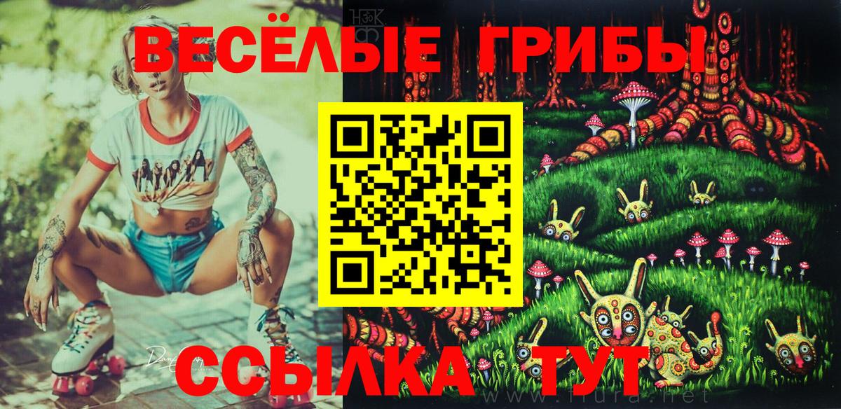Галлюциногенные грибы GOLDEN TEACHER Горячий Ключ